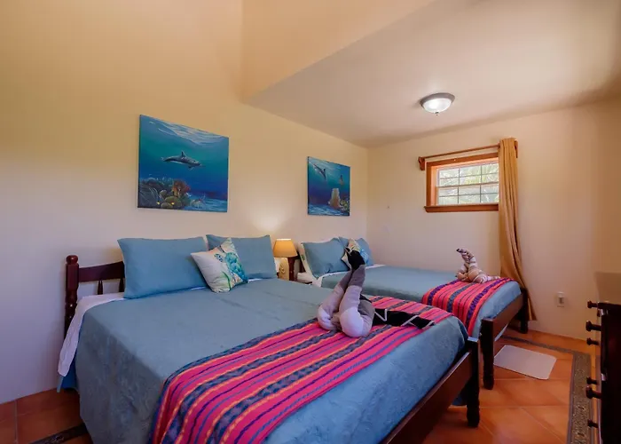 Diamond Reef 2a And 2b Apartamento